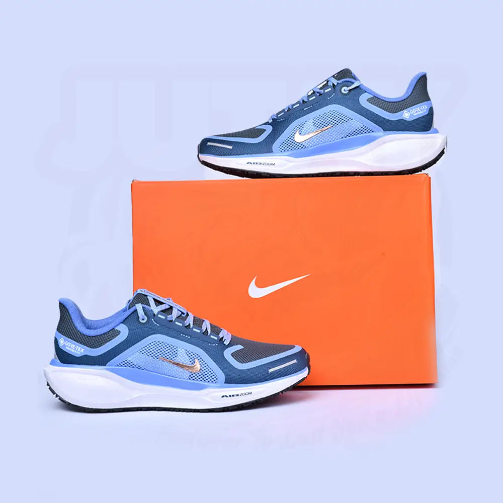 PEGASUS 41 GORE TEX - NAVY